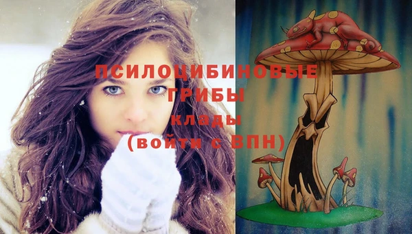 ешки Волосово