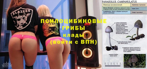 спайс Киреевск