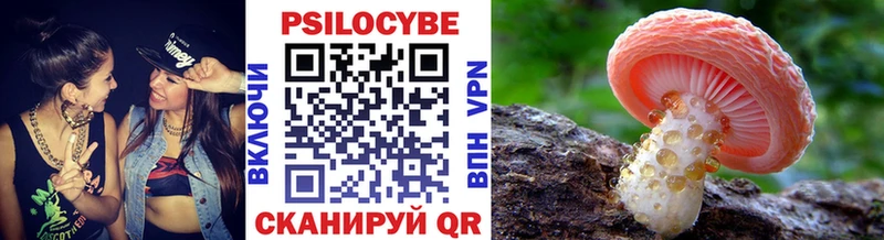 купить  сайты  Челябинск  Псилоцибиновые грибы прущие грибы 